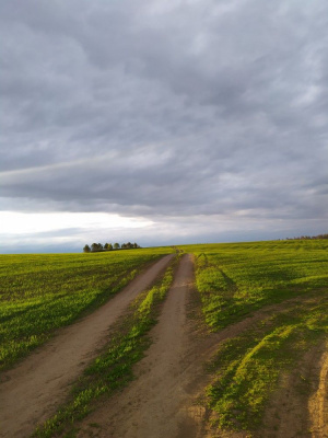 1428-й день заступництва за Україну!