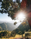 1435-й день заступництва за Україну!