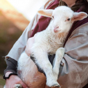 1520-й день заступництва за Україну!